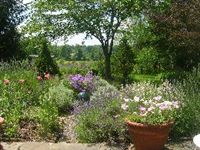 Waterford Country & Cottage Garden Tour