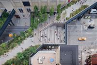 New York’s High Line and Portland’s Green Loop: Linear Parks and Urban Futures