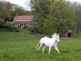 View more information about this historic property for sale in Bullville, New York