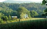 View more information about this historic property for sale in Edinburg, Virginia