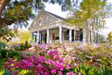 View more information about this historic property for sale in Natchez, Mississippi