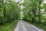Click for a larger image! Historic real estate listing for sale in Leoma, TN