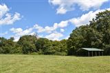Click for a larger image! Historic real estate listing for sale in Somerville, TN