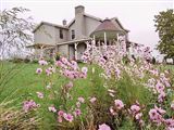 View more information about this historic property for sale in Mount Sterling, Kentucky