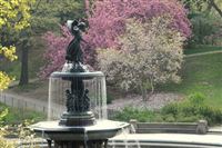 Women in Central Park Series: Illustrated Talk