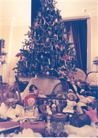 Holiday Tours - Oakville Museum at Erchless Estate