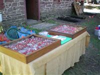 Joint Archaeological Exhibit at Morlatton Village