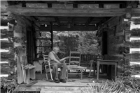 Heritage Cabin Preservation & Assembly