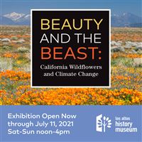 Beauty and the Beast: California Wildflowers and Climate Change