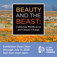Beauty and the Beast: California Wildflowers and Climate Change