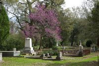 Cemetery Landscape Preservation Workshop