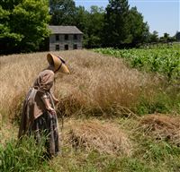 Members Only Tour @ Genesee Country Village & Museum