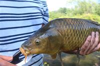 Fishing at Lake Surprise @ Genesee Country Village & Museum