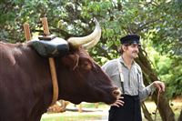 Agricultural Fair @ Genesee Country Village & Museum