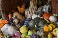 Agricultural Fair @ Genesee Country Village and Museum