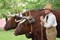 FREE Museum Day @ Genesee Country Village and Museum