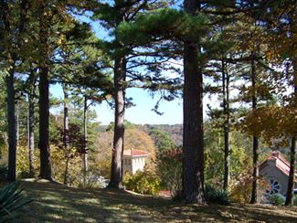 St. Elizabeth Catholic Church - As seen from grounds of Crescent Hotel. Eureka Springs, Arkansas Credit: Ken Rundel