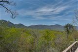 Click for a larger image! Historic real estate listing for sale in Tryon, NC