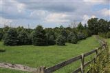 Click for a larger image! Historic real estate listing for sale in Voorhees, NJ