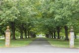 Click for a larger image! Historic real estate listing for sale in Warrenton, VA