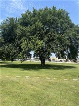 Click for a larger image! Historic real estate listing for sale in Chanute, KS