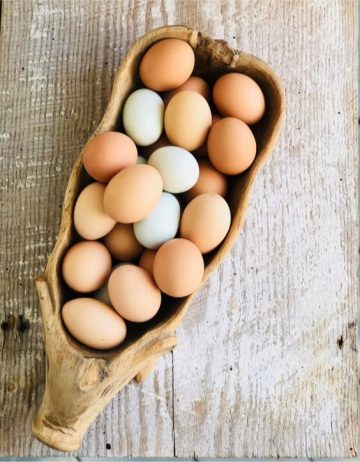 The Bed and Breakfast at Peace Hill, historic lodging in Charles City, Virginia (photo 12 of 14)